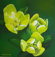 /album/fotogalerie-dana-jirsakova/dana-jirsakova-tri6-harmonicky-domov-jpg1/